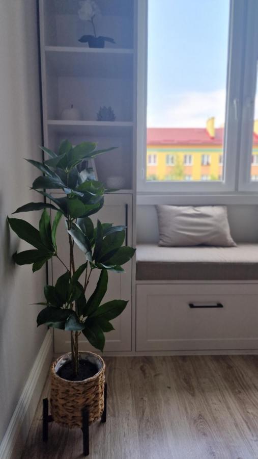 Alfama Garden Apartman Grudziądz Kültér fotó