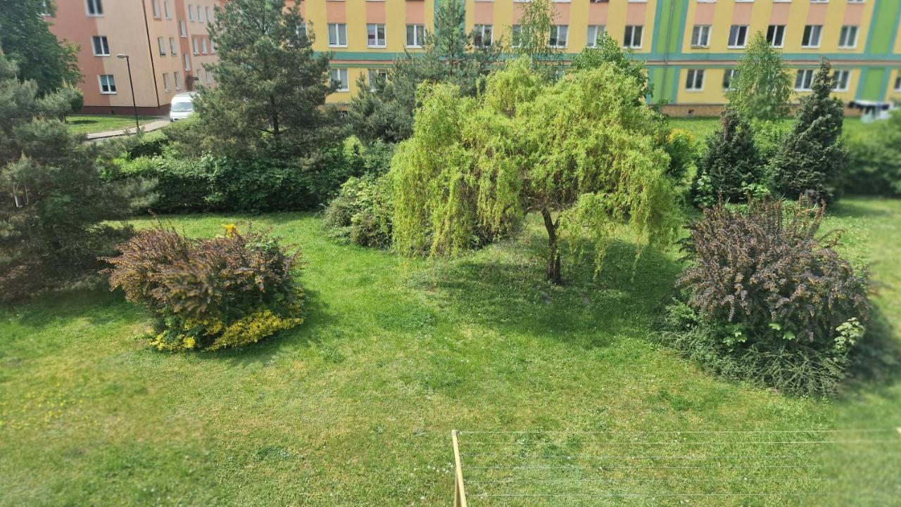 Alfama Garden Apartman Grudziądz Kültér fotó